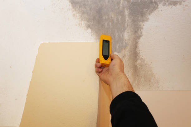 Best Dehumidification Services  in Ely, IA