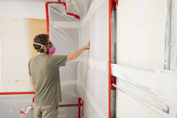 Best Environmental Consulting for Mold Prevention  in Ely, IA