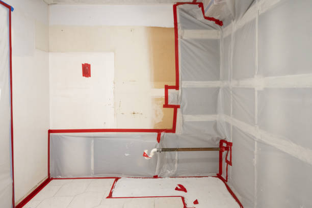 Best HVAC Mold Inspection and Cleaning  in Ely, IA