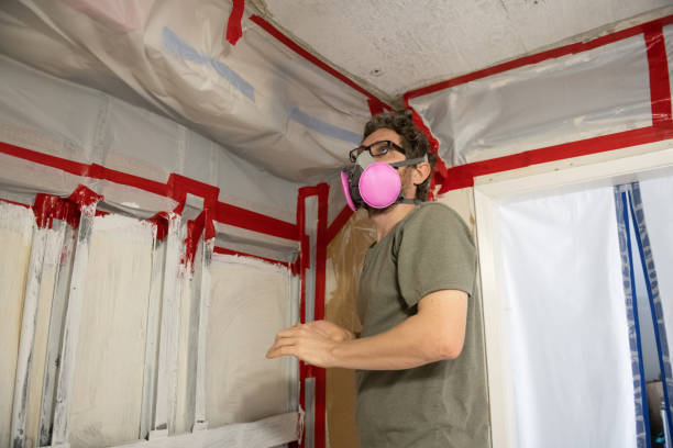 Best Basement Mold Removal  in Ely, IA
