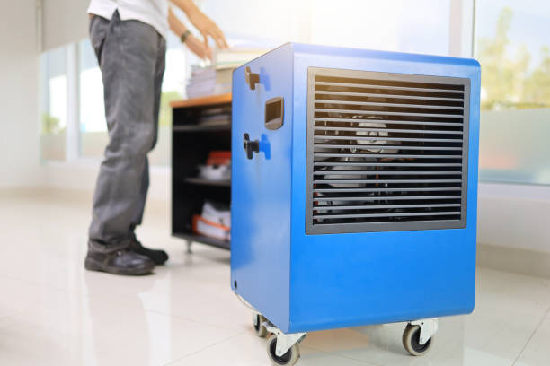 Best Forensic Mold Investigation  in Ely, IA